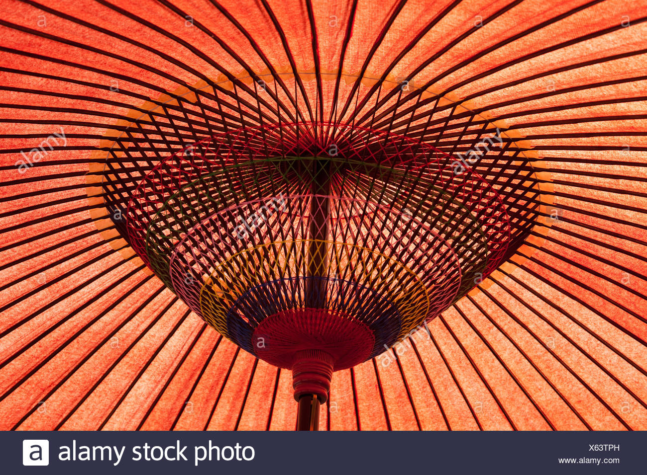 asiatic sunshade umbrella Stock Photo
