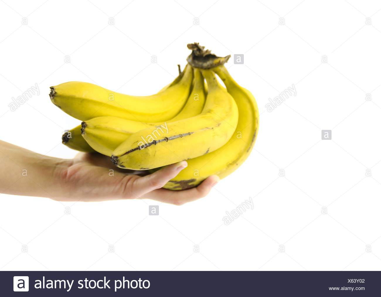Five Photographs Of Banana In Seach Of >> Have A Banana Stock Photo 279140850 Alamy Five Photographs Of Banana In Seach Of >> Have A Banana Stock Photo 279140850 Alamy