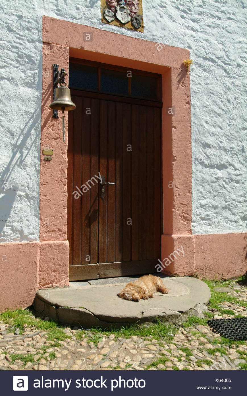 Dog Sleeping In Front Of Door With Bell Stock Photo 279141805 Alamy
