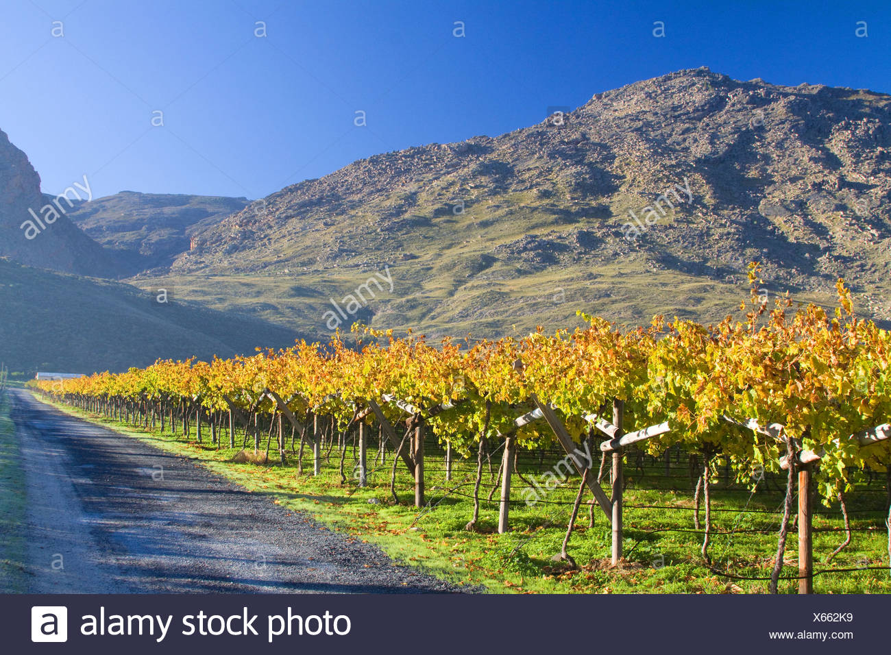 Autumn South Africa High Resolution Stock Photography and Images Alamy