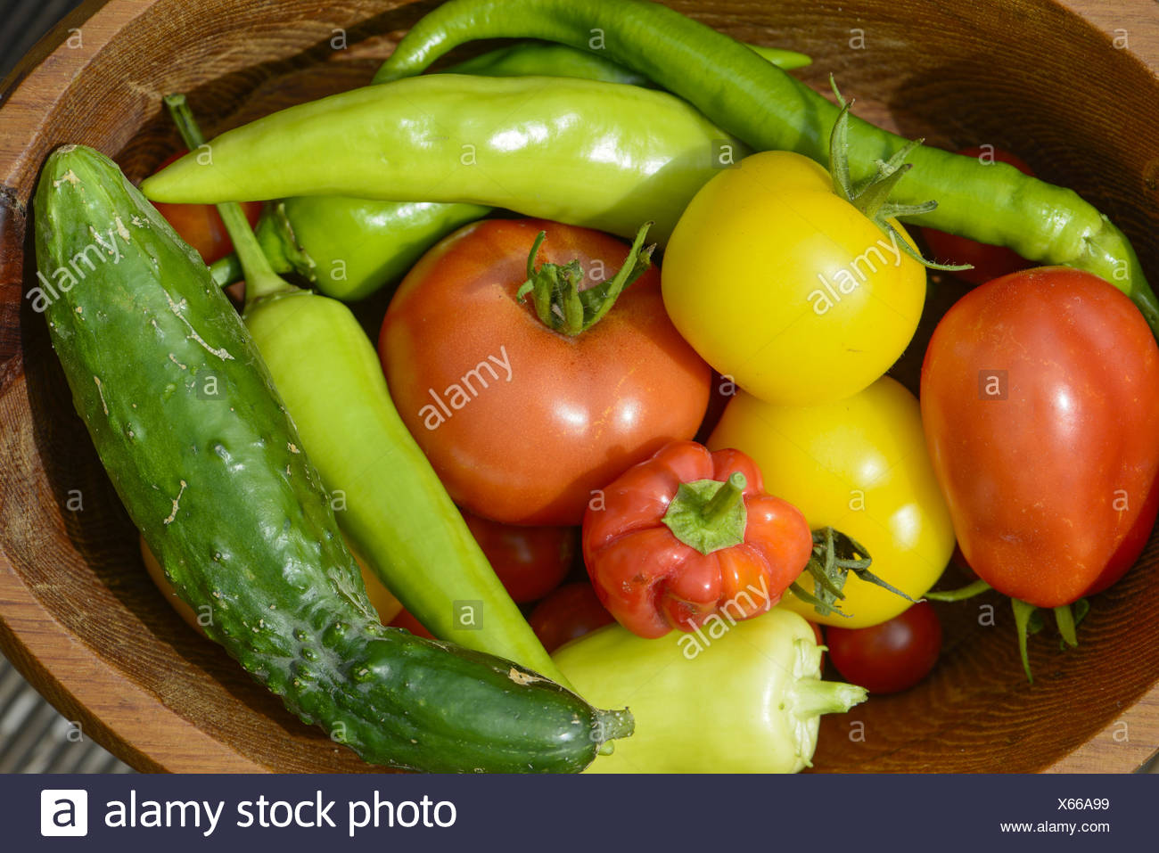 Super Fresh Garden Vegetables After Harvest Austria Stock Photo