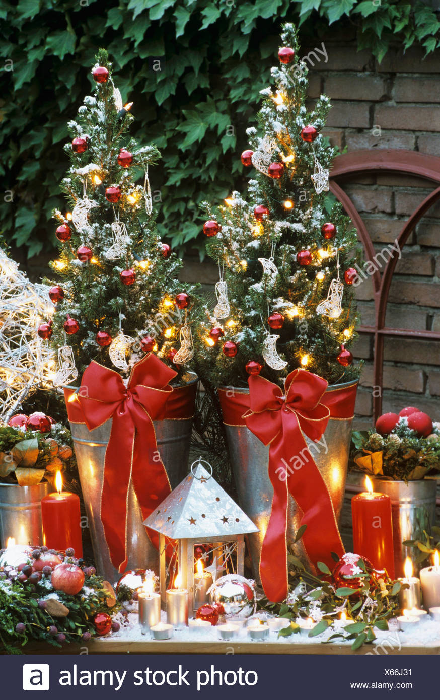 Small Trees In Pots Stock Photos & Small Trees In Pots Stock Images Alamy