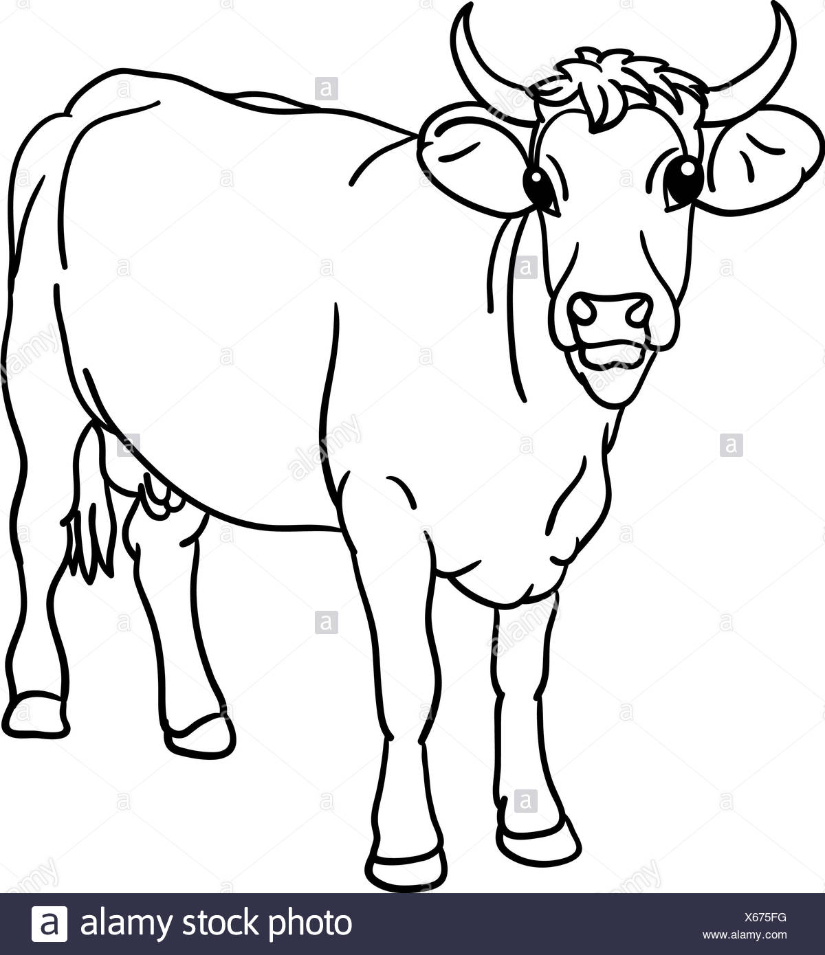 isolated animal illustration cow draw art isolated animal mammal