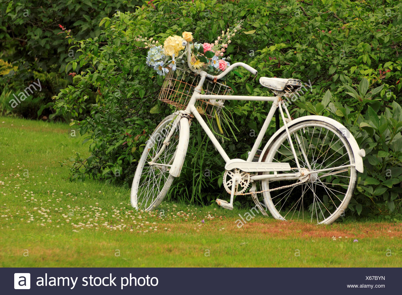 old bicycles with flowers