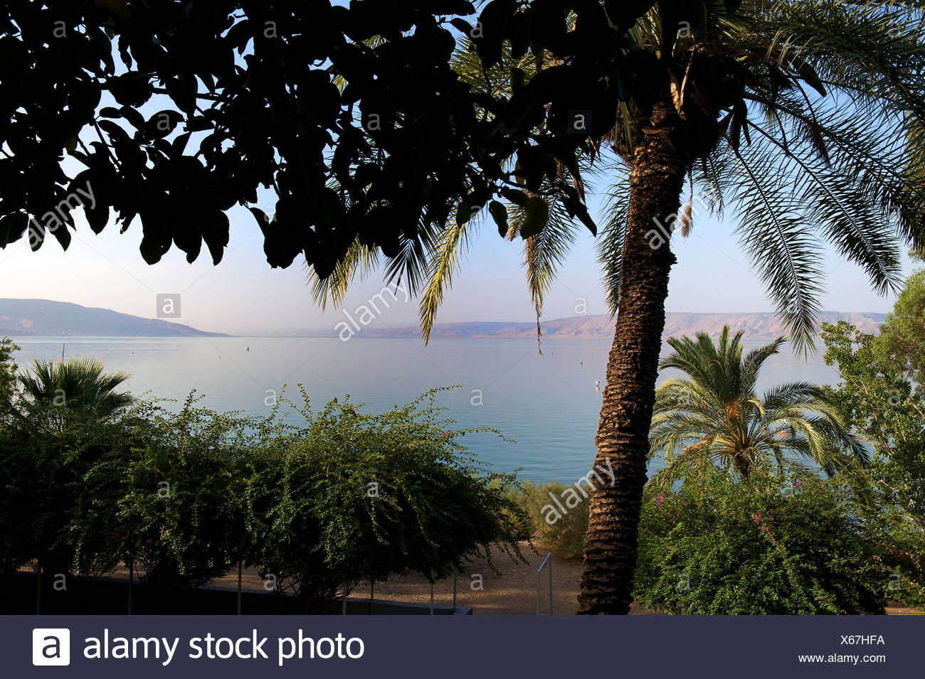 Lake Of Gennesaret High Resolution Stock Photography and Images - Alamy