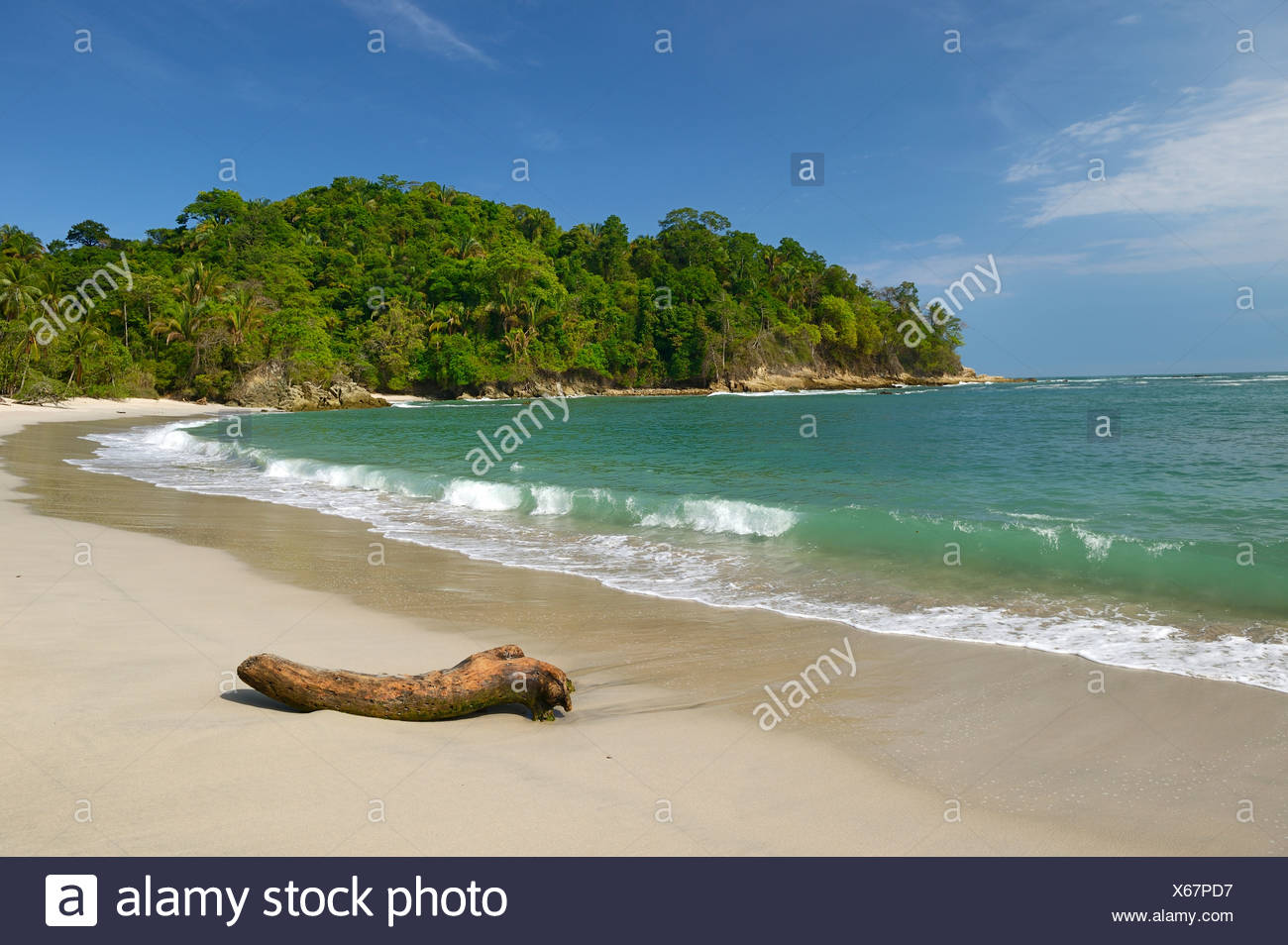 White Sandy Beach Manuel Antonio National Park Central