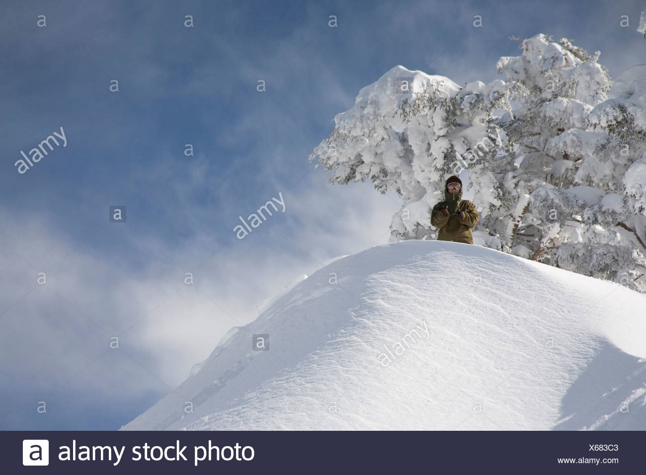 A Golden Snowbank