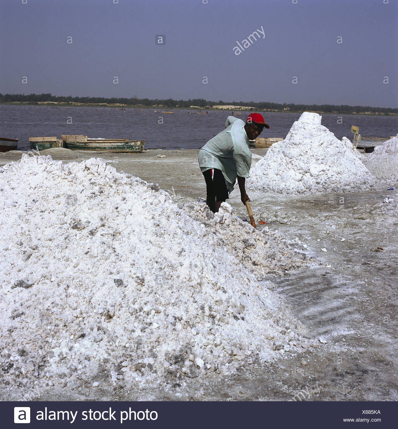 Senegal, Lac rose, salt production, worker, Africa, West, Africa ...
