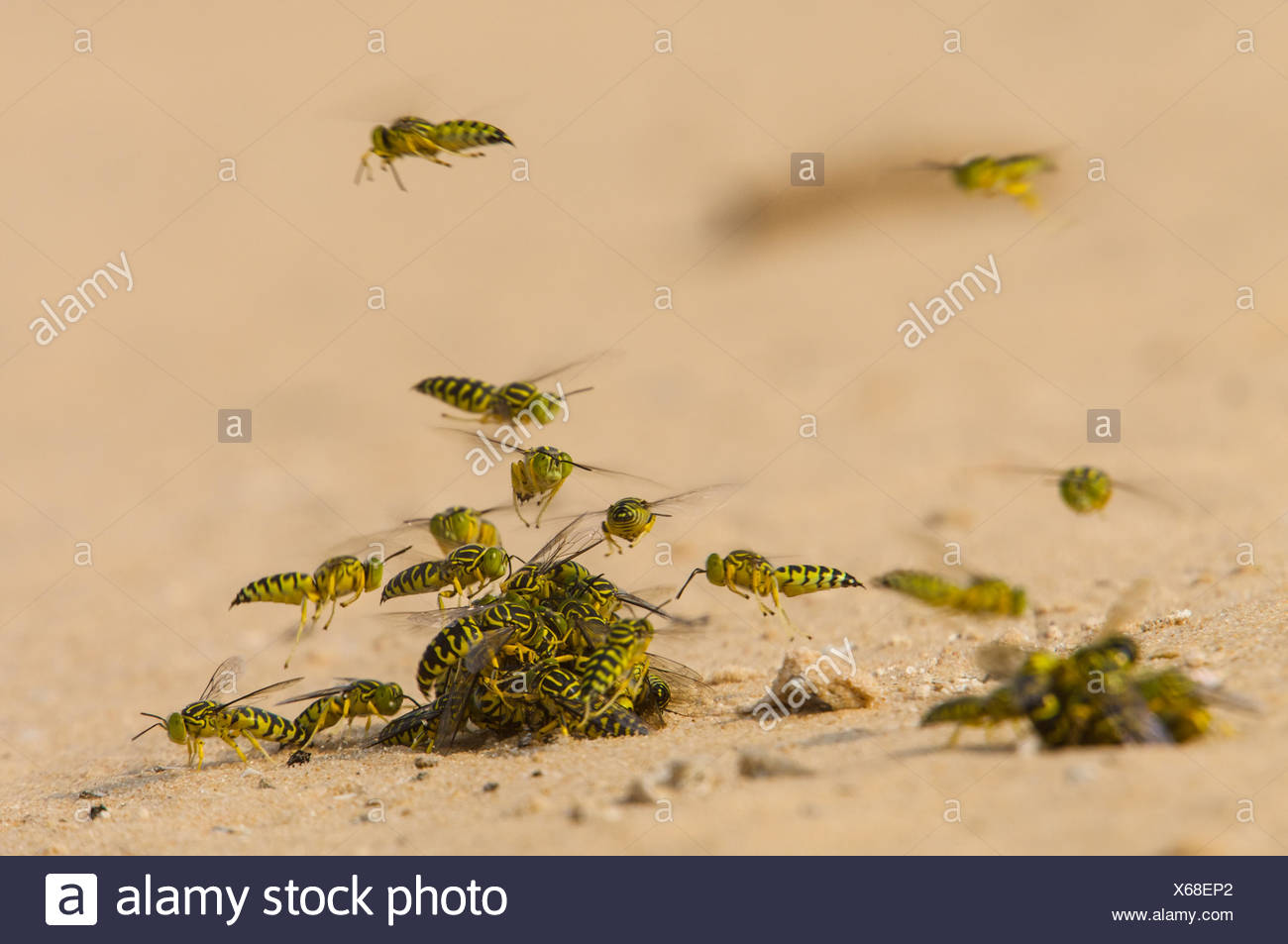Sand Stock Photos & Sand Stock Images Alamy