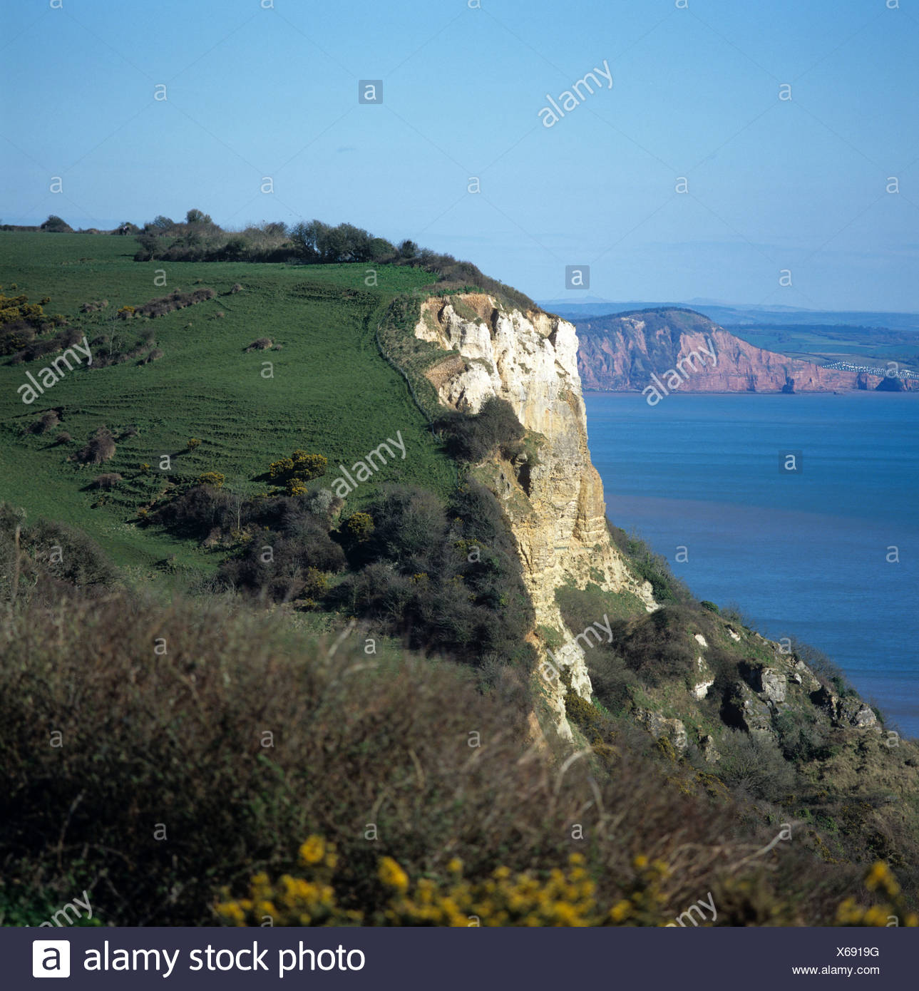White Cliffs Devon Stock Photos & White Cliffs Devon Stock Images Alamy