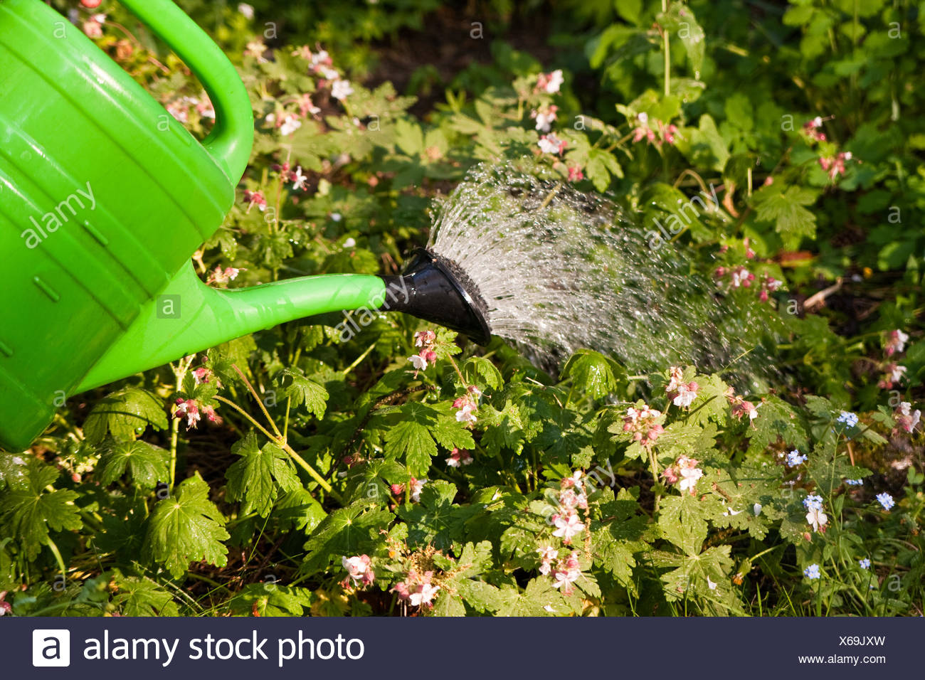 Elefant Gießkanne Sprinkler Garten Gewächshaus Zimmerpflanzen Garten Sprinkler