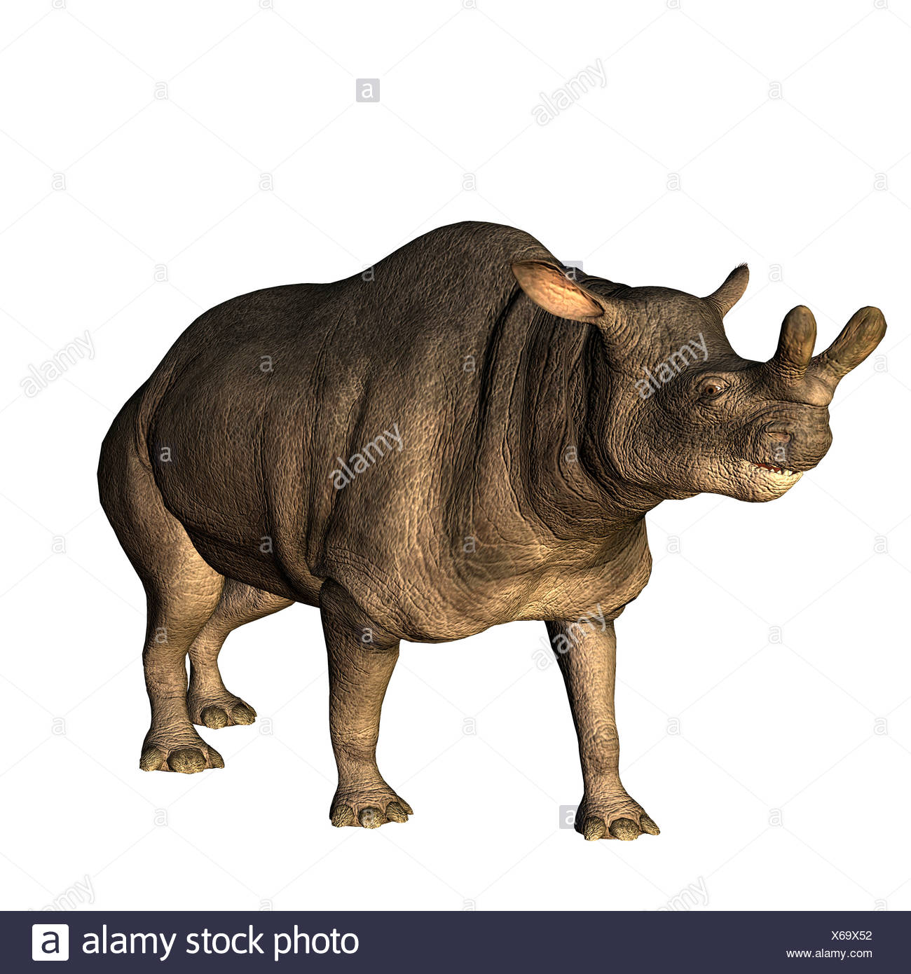 Page 2 Brontotherium High Resolution Stock Photography And Images Alamy