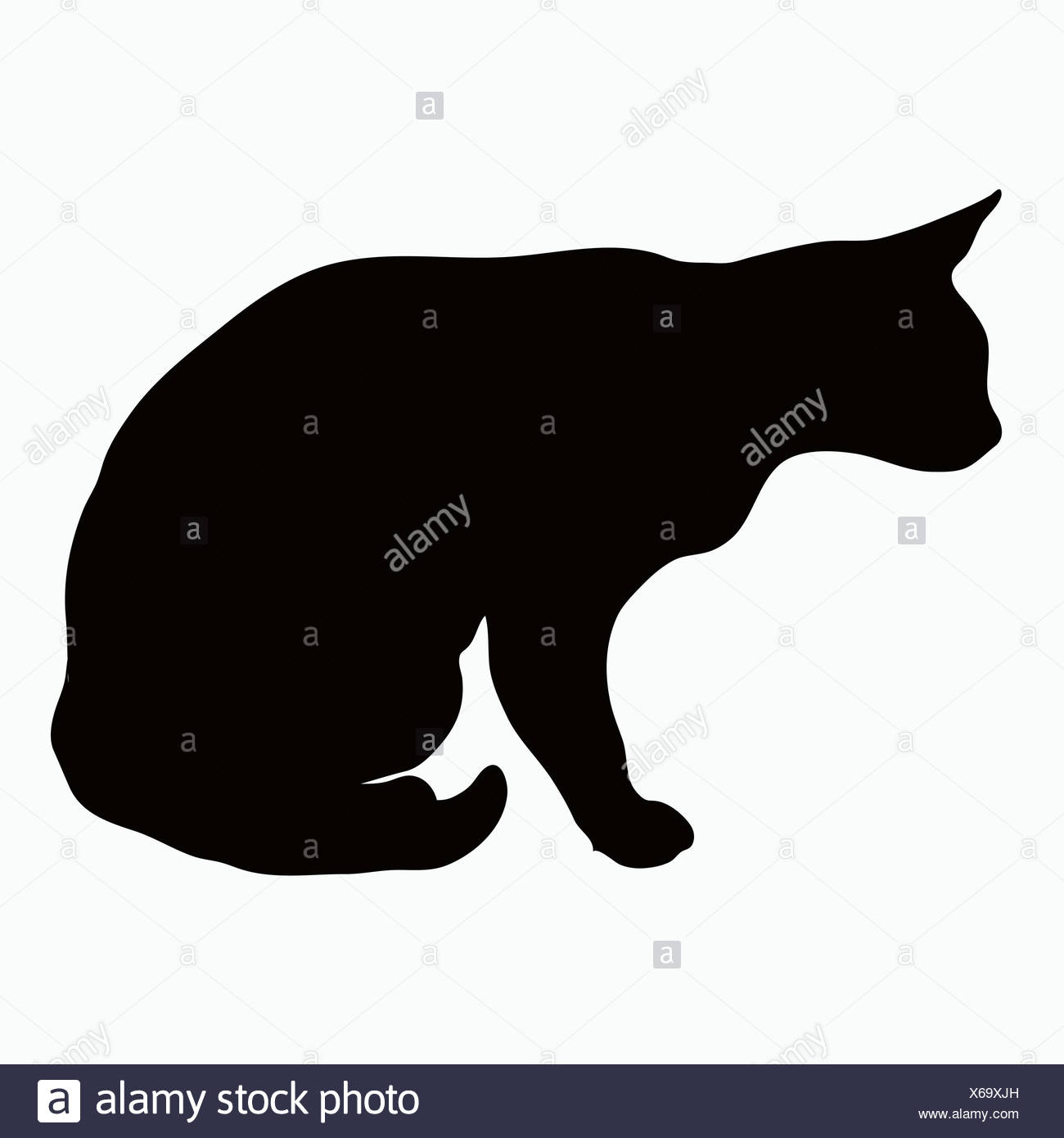 Arched Cat High Resolution Stock Photography and Images - Alamy