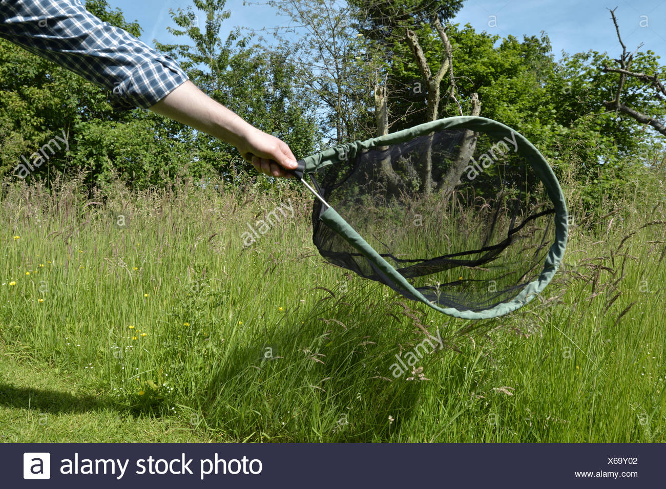 Butterfly Net High Resolution Stock Photography and Images Alamy
