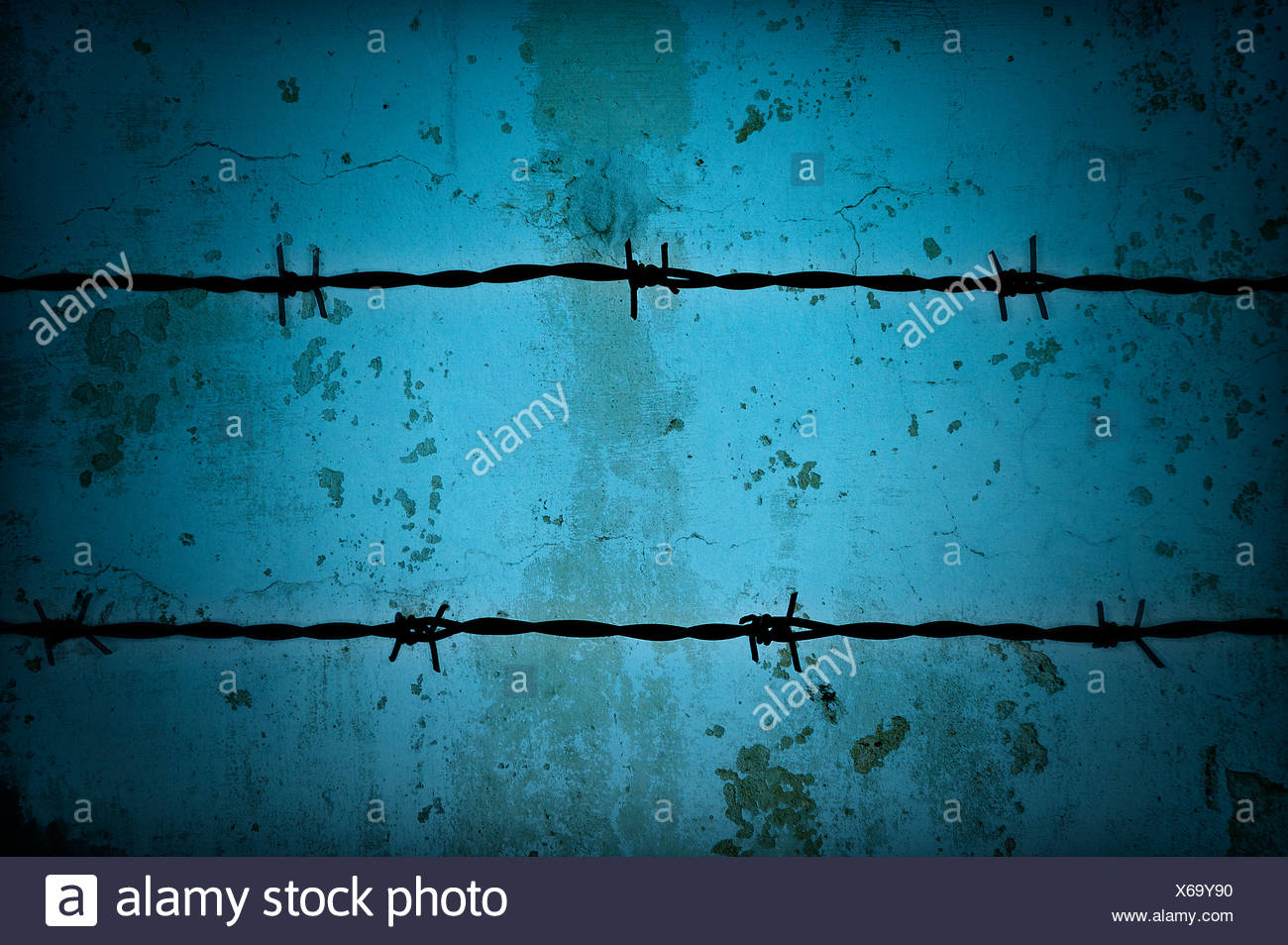 Barbed wire fence. Stock Photo