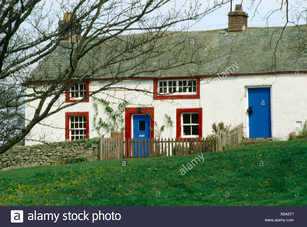 Traditional Cream Country Cottage With Blue Front Door And Red