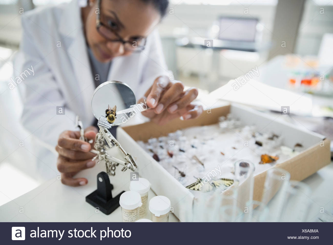 Under The Microscope Stock Photos & Under The Microscope Stock Images ...