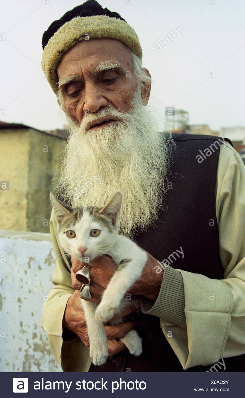 old cat man