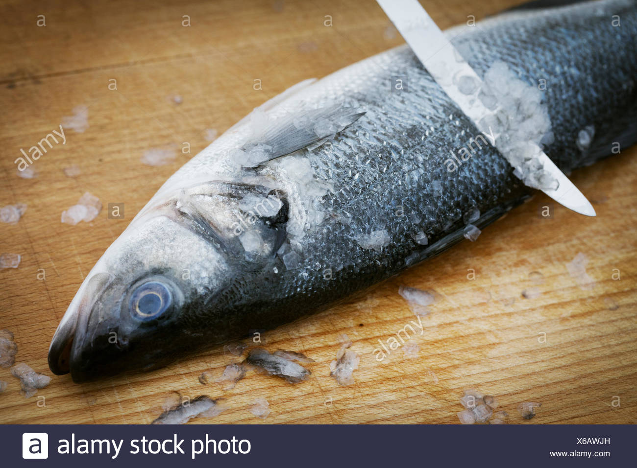 Scaling Knife High Resolution Stock Photography and Images Alamy