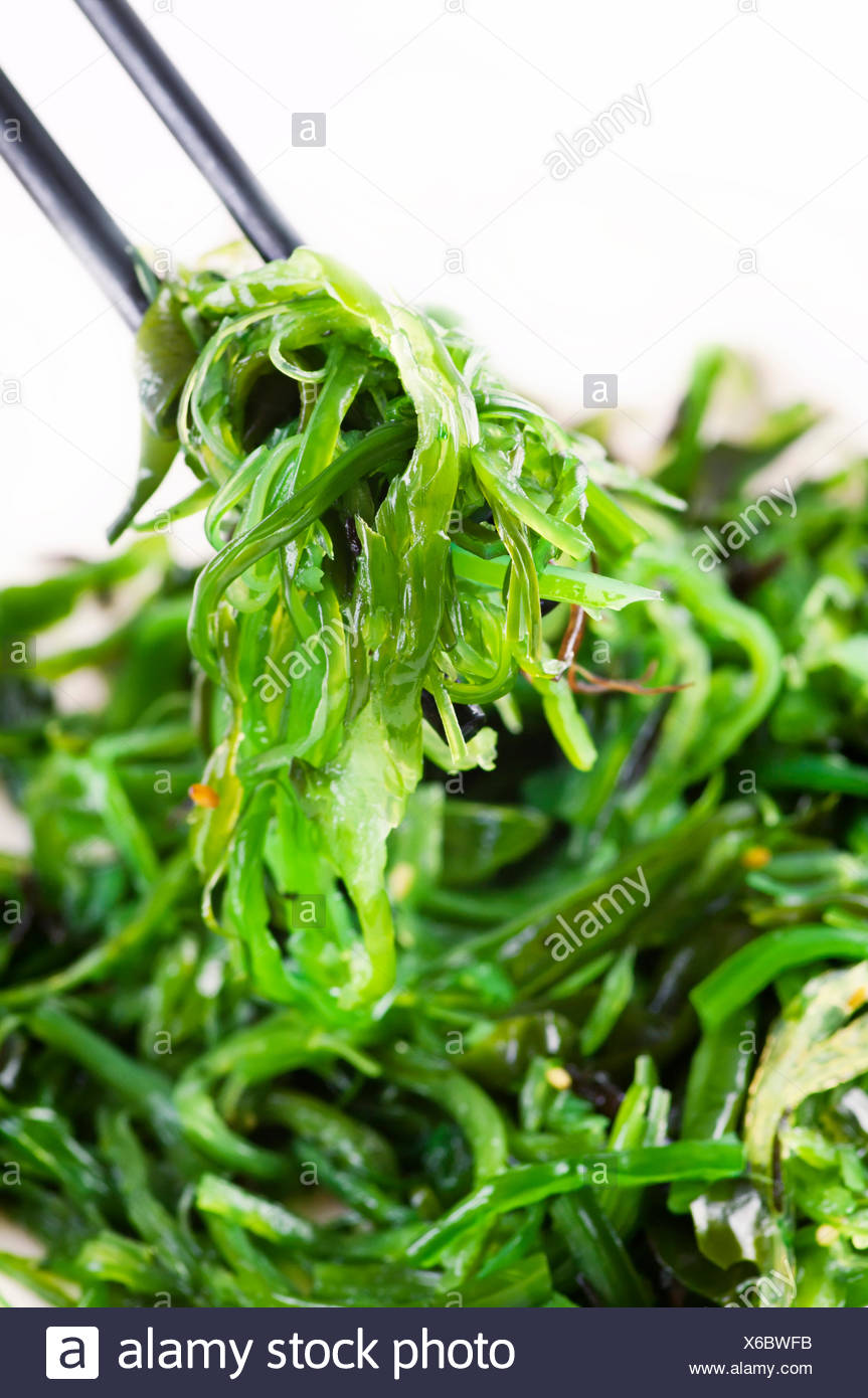 algae in japanese