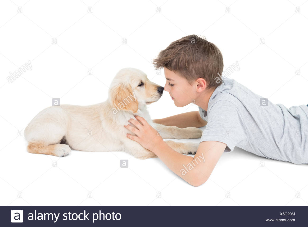 dog rubbing nose