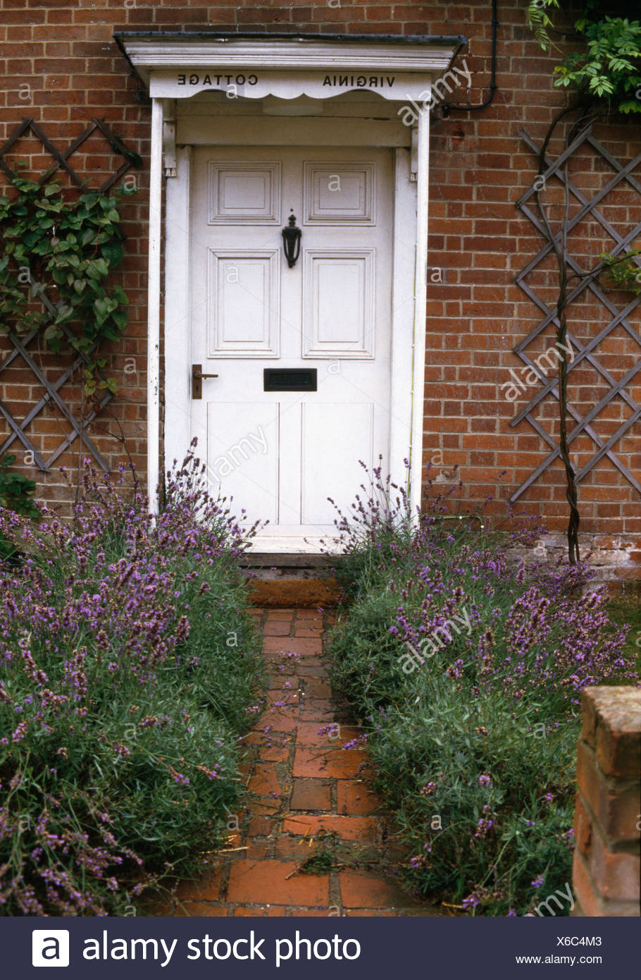 Tiled Path Edged With Lavender Leading To A White Front Door