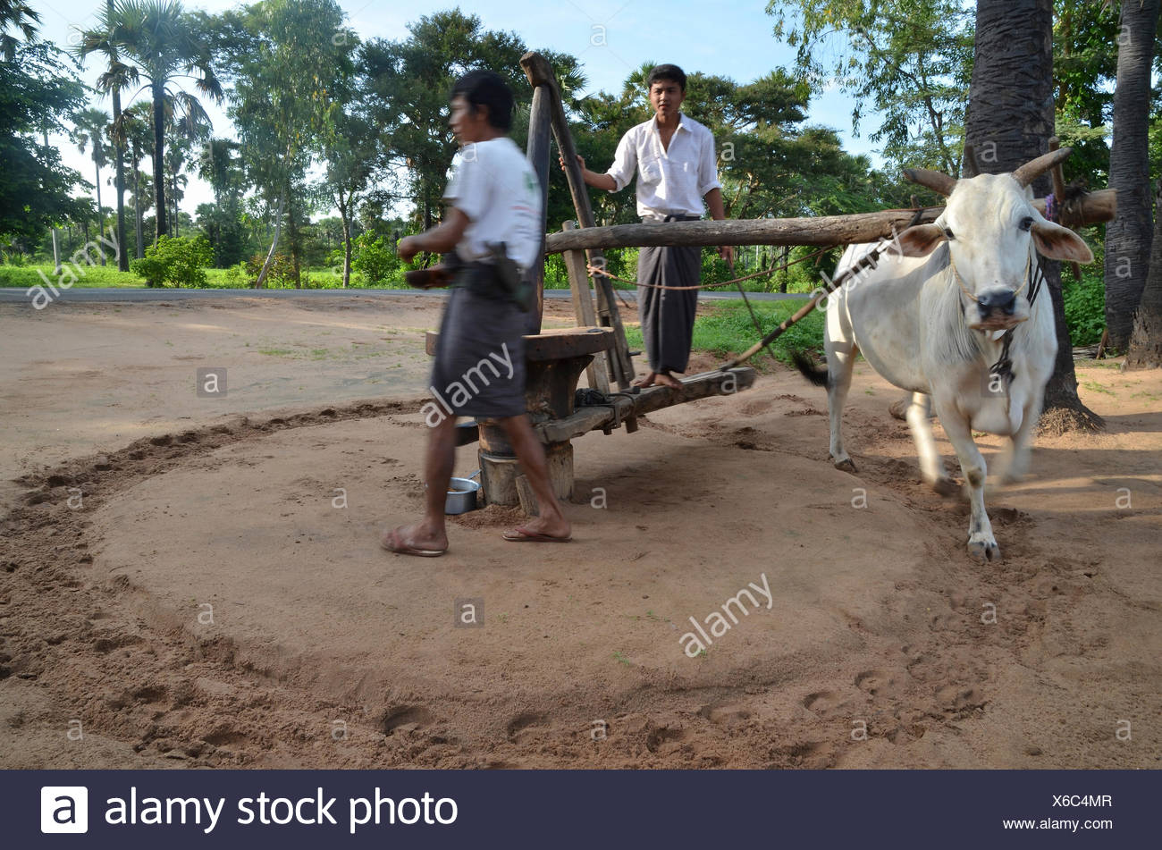 Longyi High Resolution Stock Photography and Images - Alamy