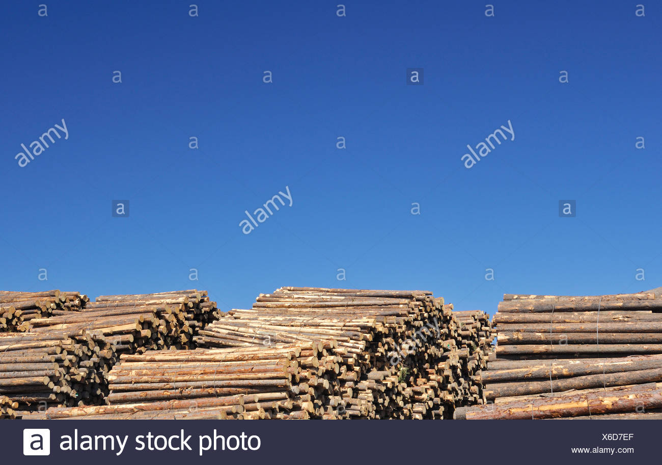 Stockpile Of Cut Logs At A Lumber Mill Kamloops British Columbia