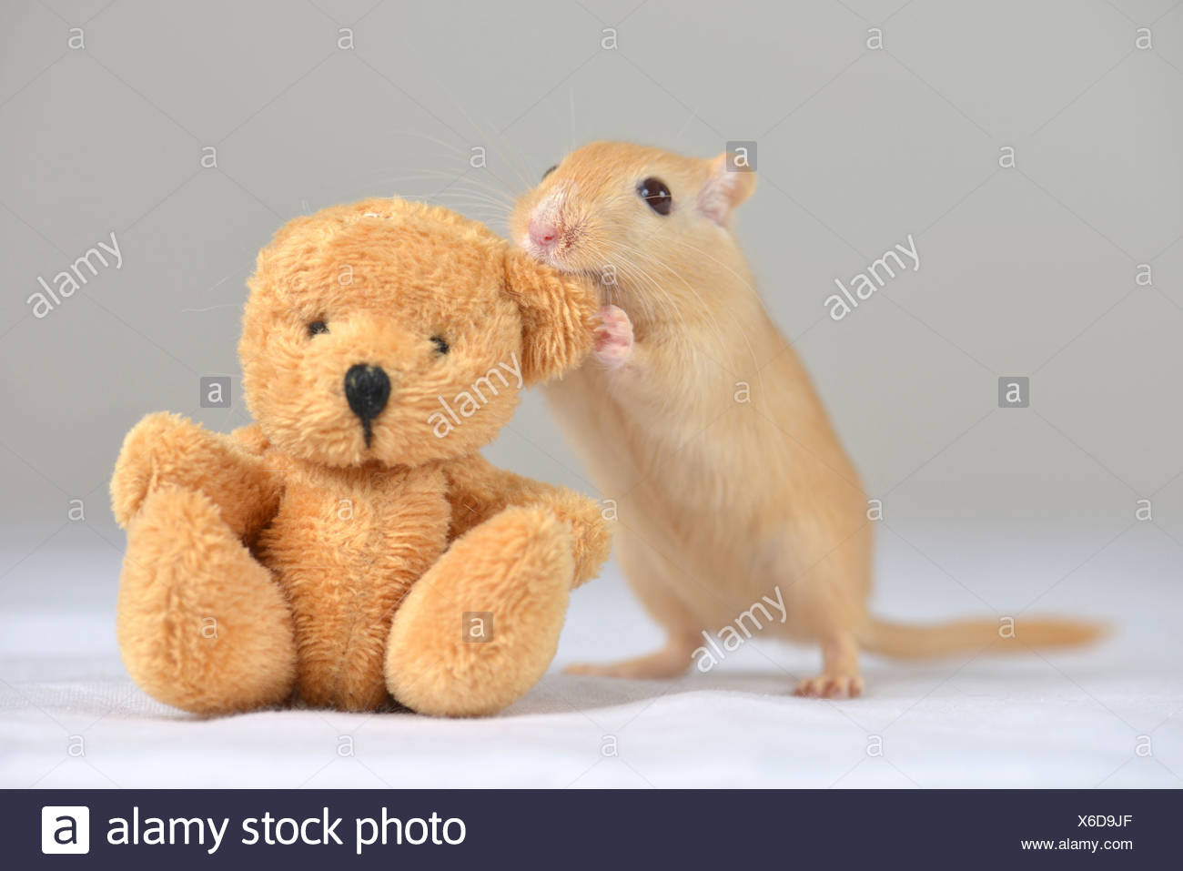 gerbil soft toy