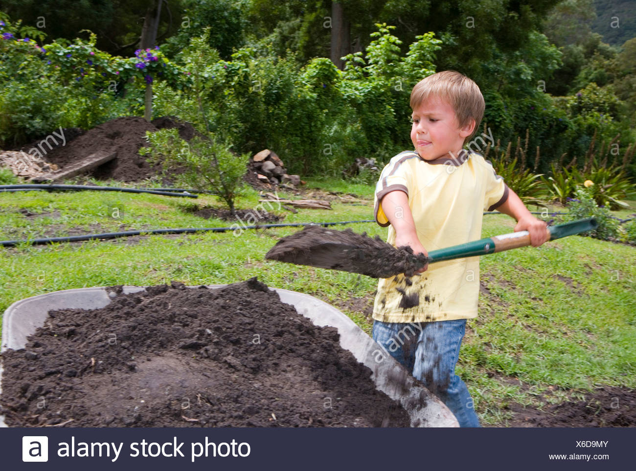Shoveling Dirt Stock Photos & Shoveling Dirt Stock Images Alamy