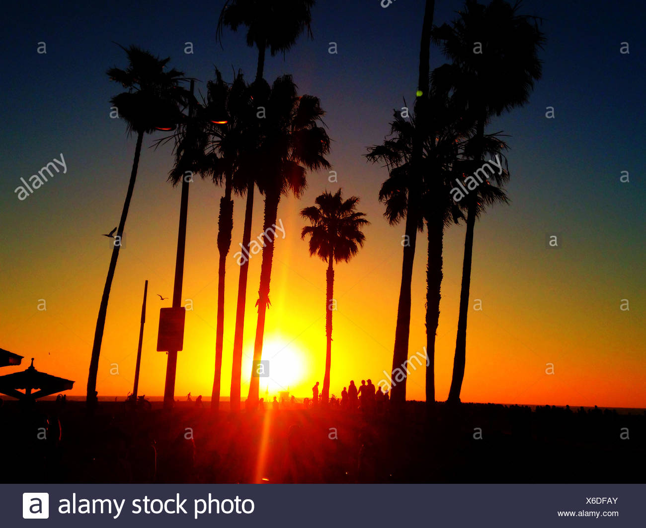 Usa California Los Angeles Venice Beach At Sunset Stock