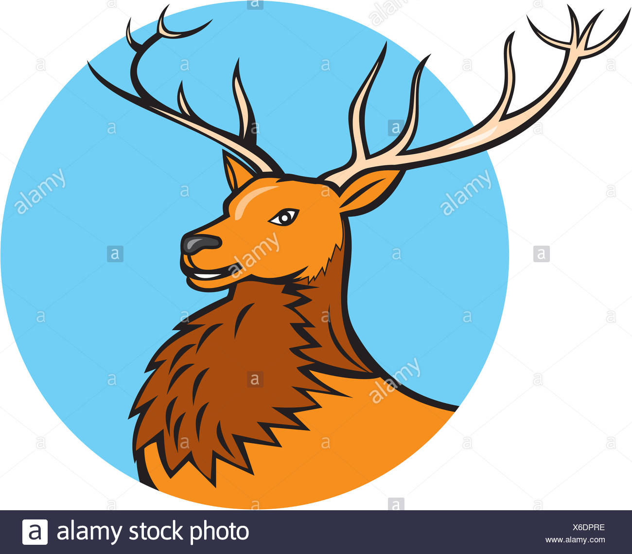 Red Stag Deer Head Circle Cartoon Stock Photo Alamy