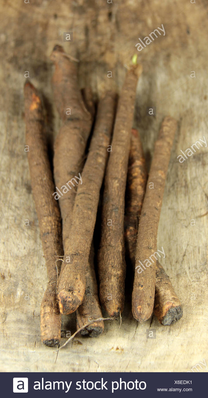 Garten Schwarzwurzel Stock Photos Garten Schwarzwurzel Stock