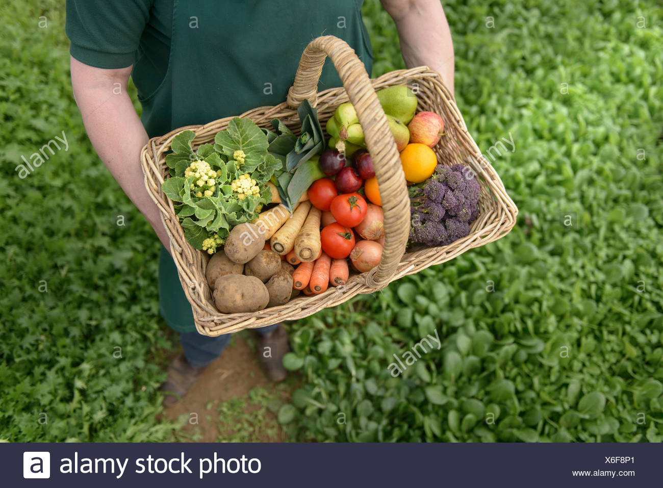 Delivery Basket High Resolution Stock Photography and Images Alamy