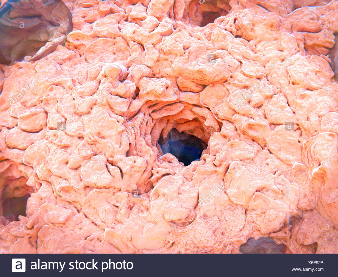 Illustration of a sweat gland pore opening onto the surface of ...