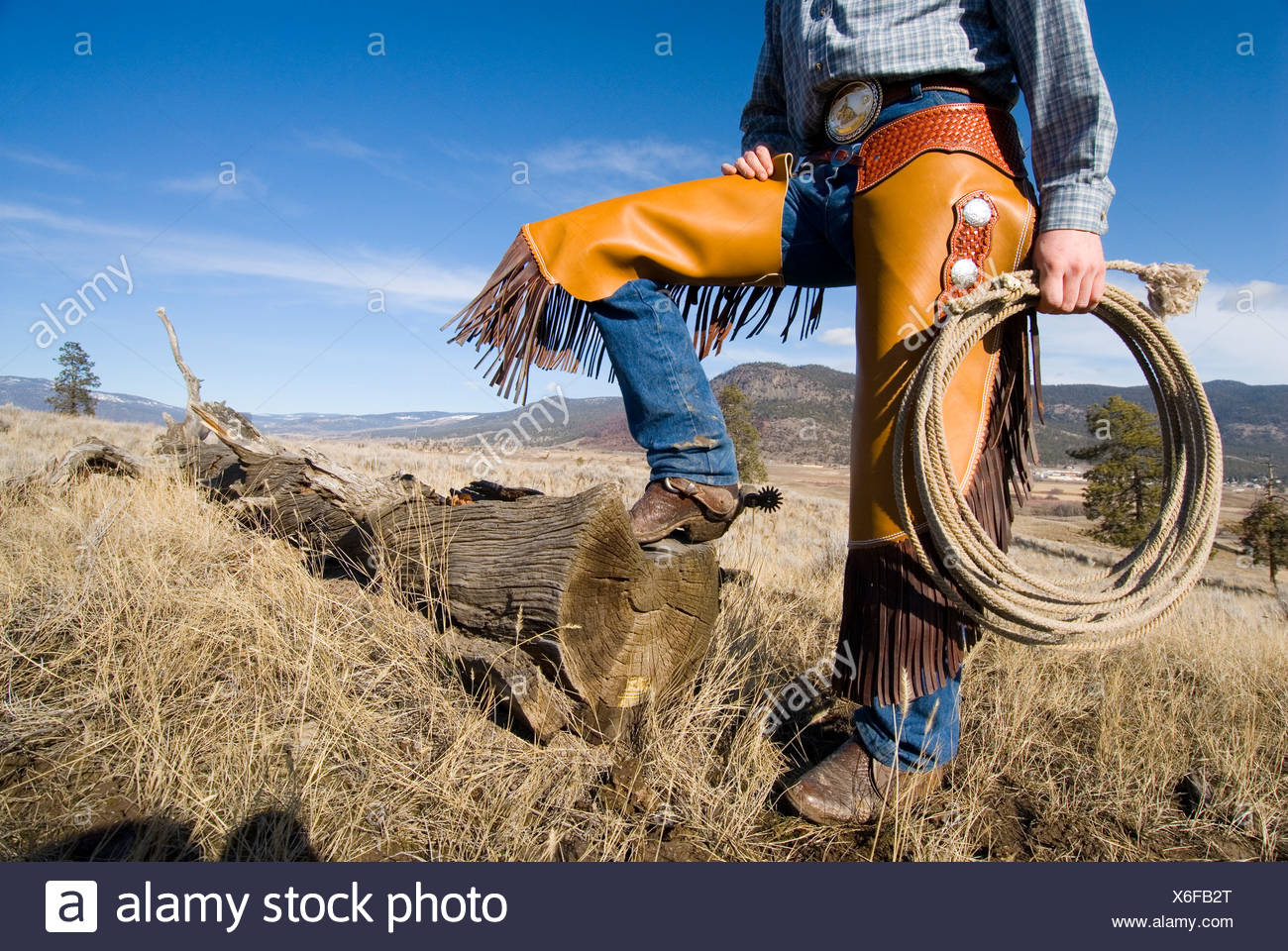 Buy > cowboy wearing chaps > in stock