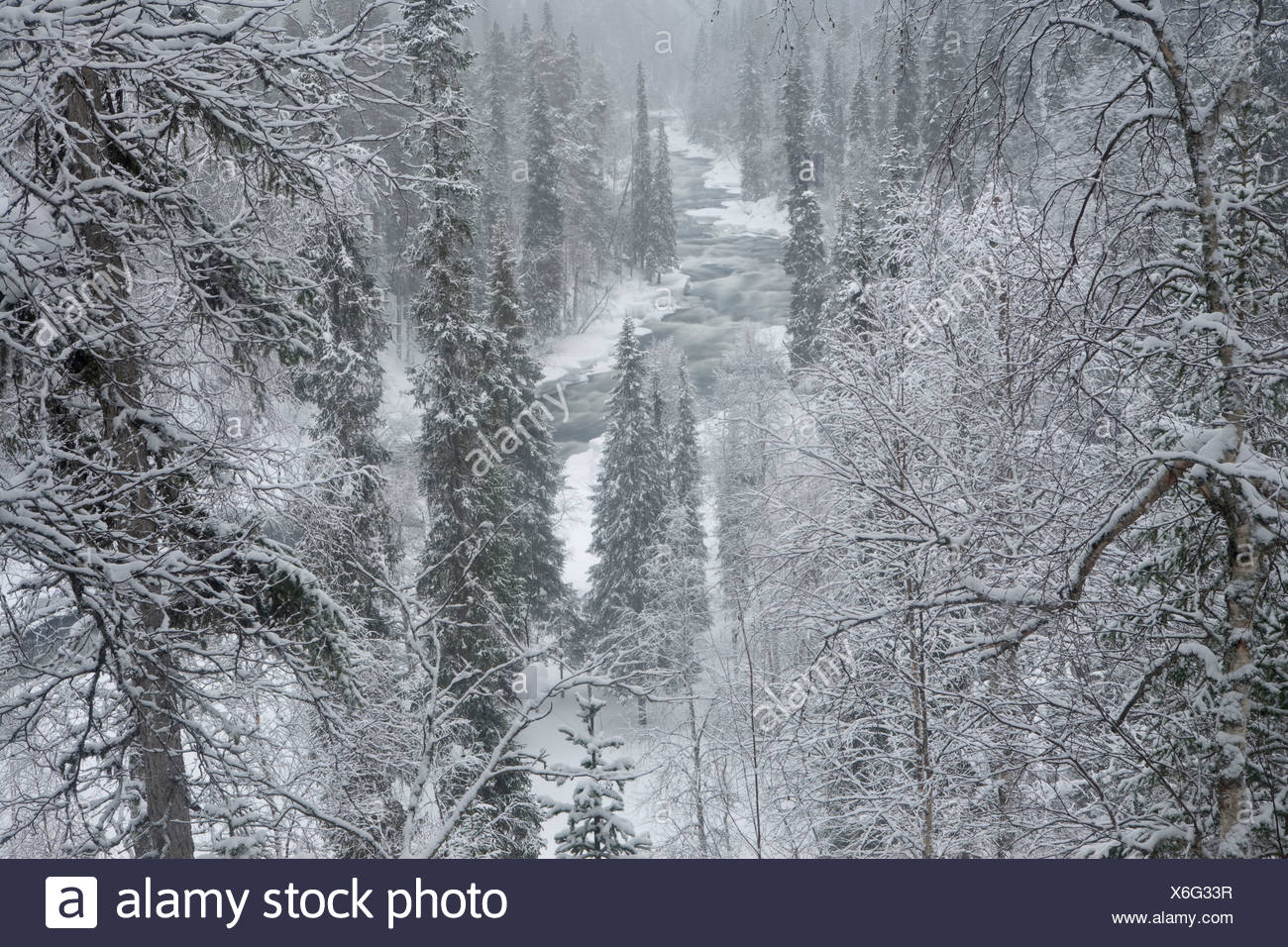 Kitka Stock Photos & Kitka Stock Images - Alamy