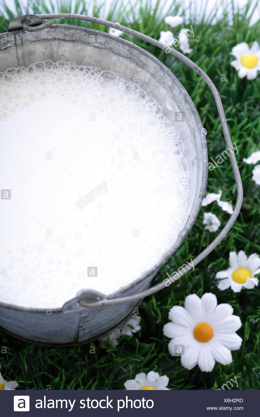Milk Bucket Stock Photos & Milk Bucket Stock Images Alamy