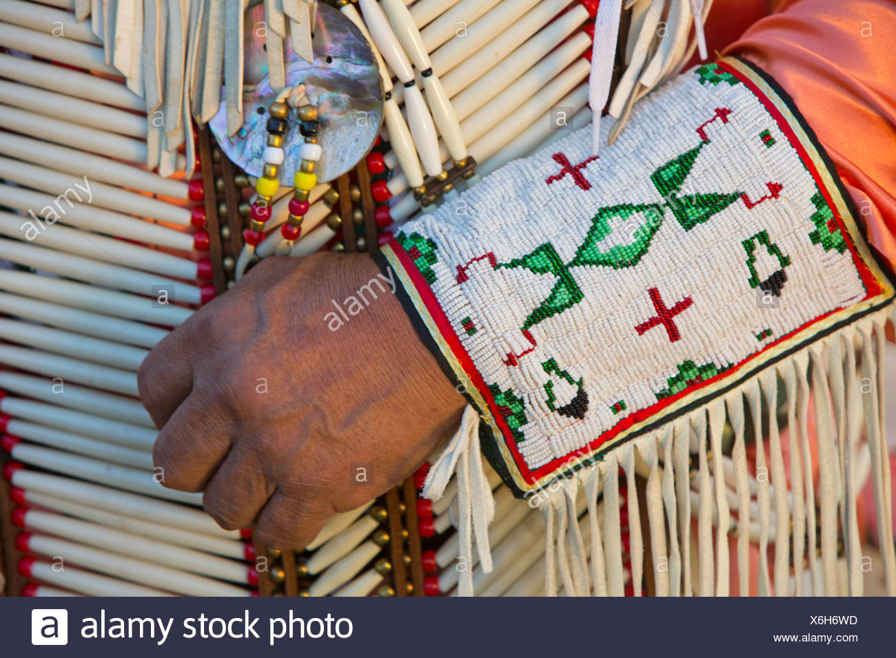 Usa United States America Lakota Elder Man Jerry Yellowhawk