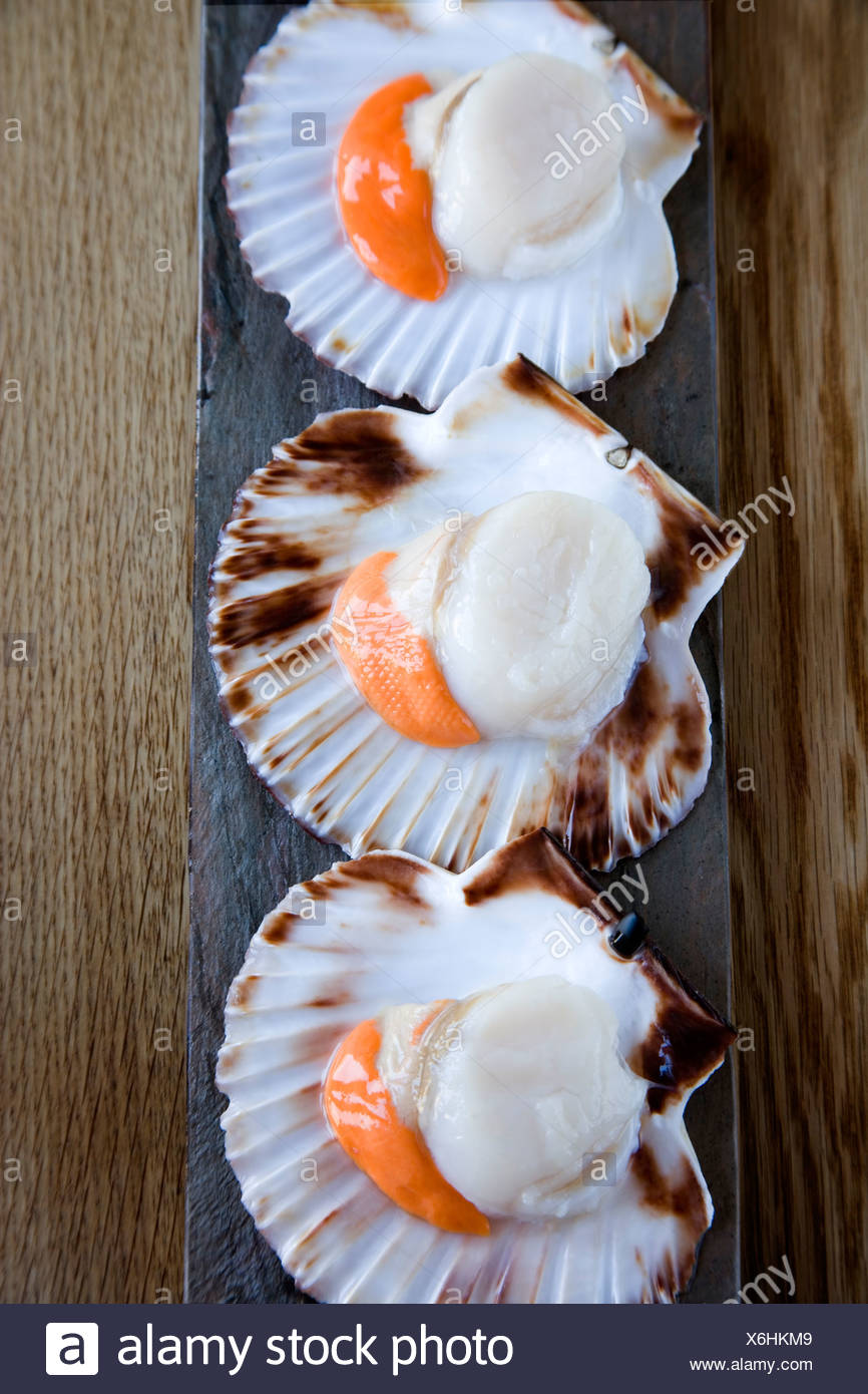 King Scallops In Half Shell Stock Photo Alamy King Scallops In Half Shell Stock Photo Alamy
