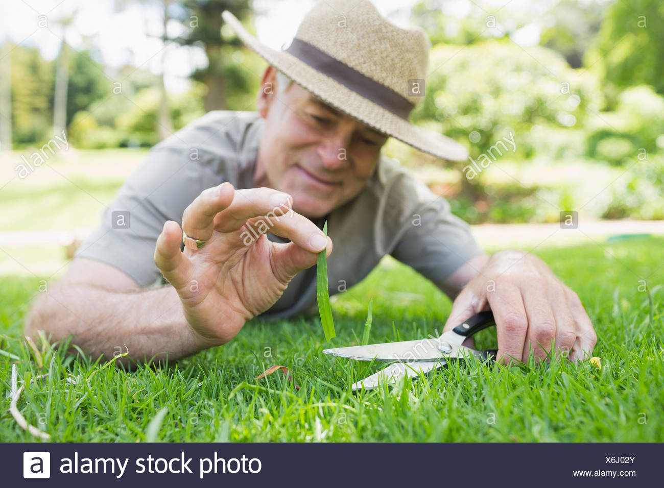 Cutting Grass With Scissors High Resolution Stock Photography and