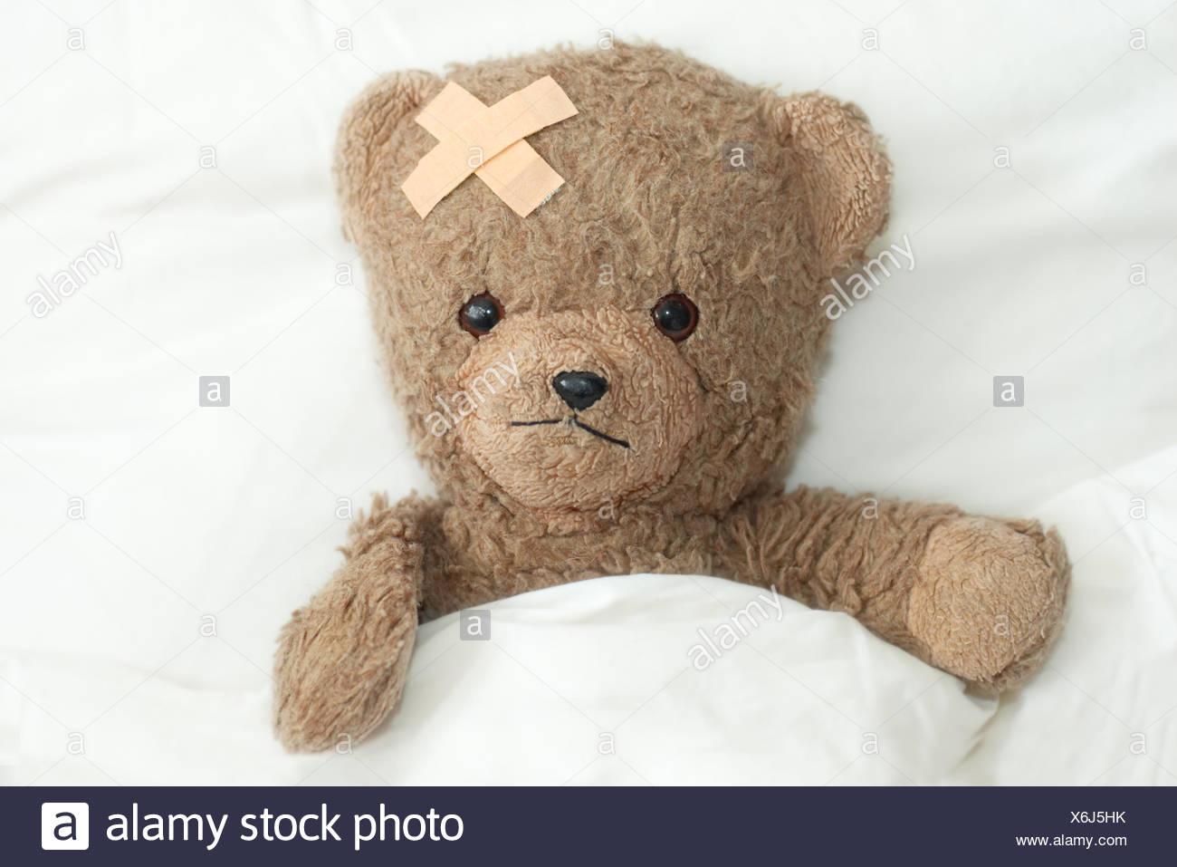sick teddy bear