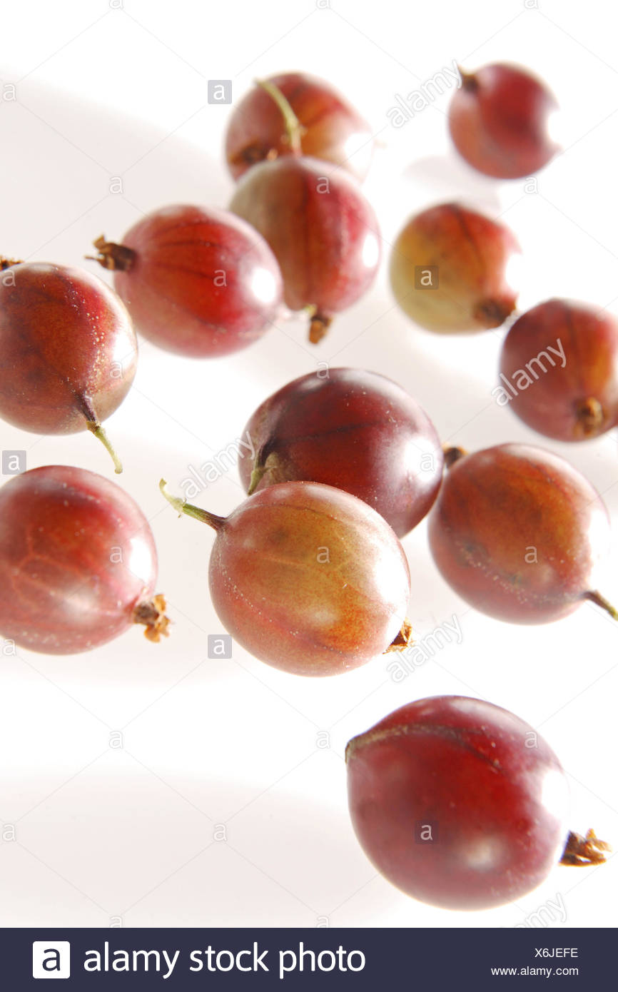 Beeren Fruechte Gooseberry Nahaufnahme Obst Pflanze Ribes