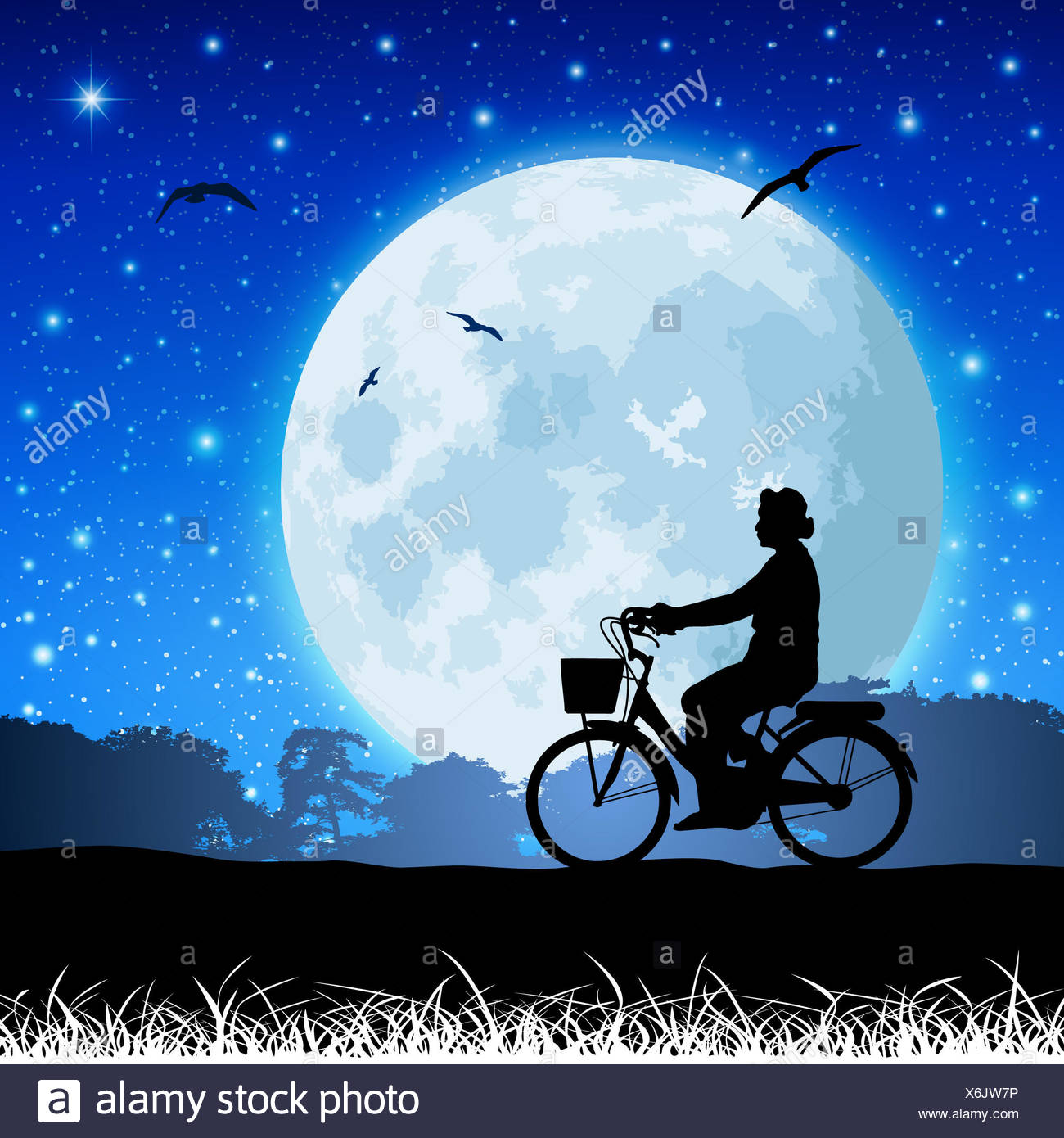 Moon Bike Silhouette High Resolution Stock Photography and Images - Night Nighttime Moon Bike Bicycle Cycle Blue Tree Trees Cosmos BirD Night X6JW7P