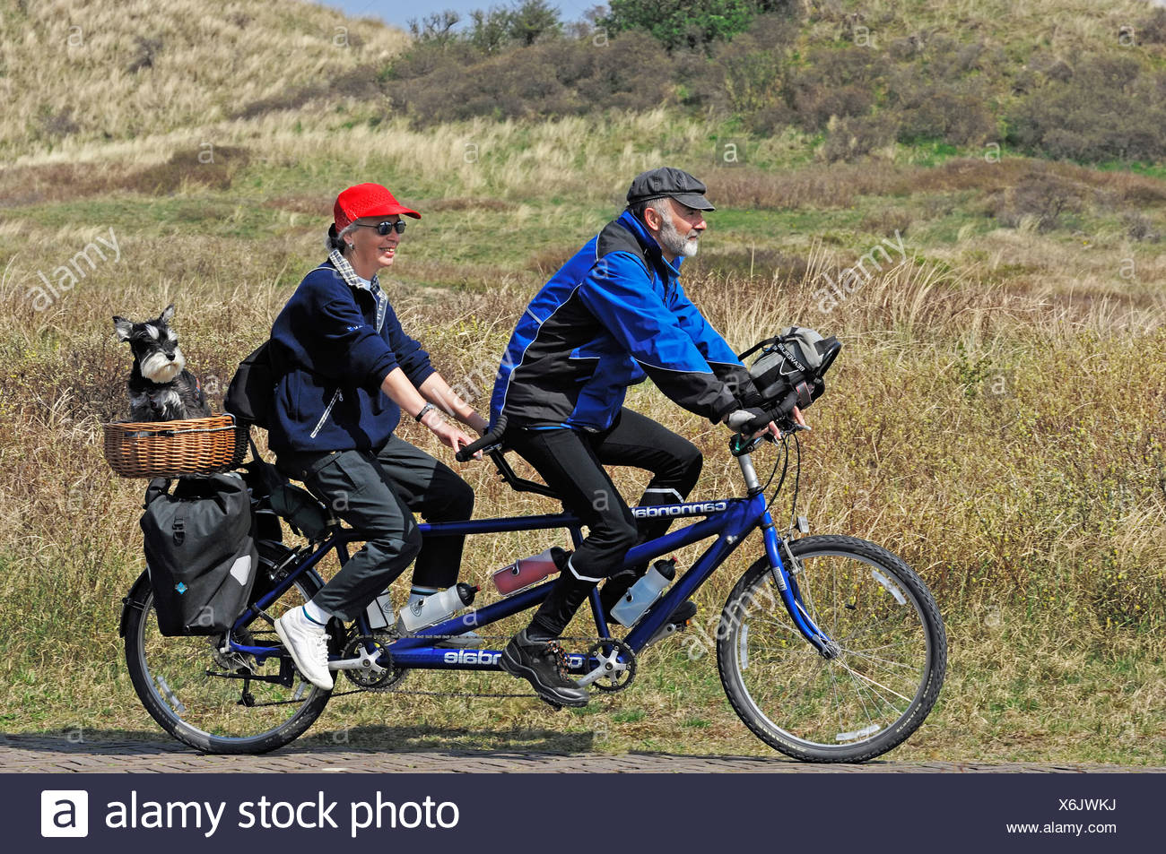 tandem bike with basket