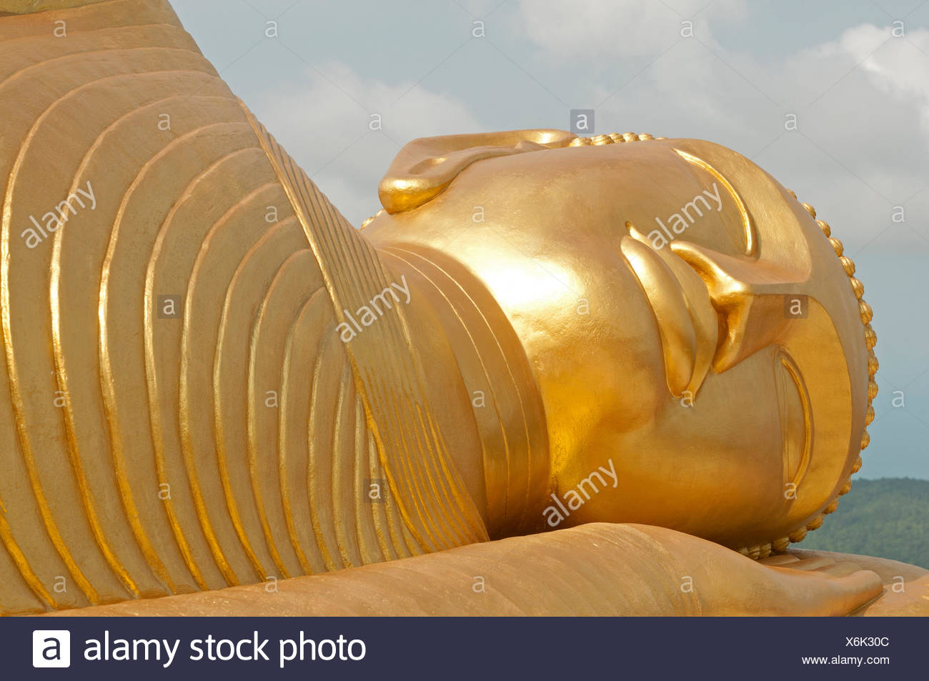 Korn Stock Photos Korn Stock Images Alamy