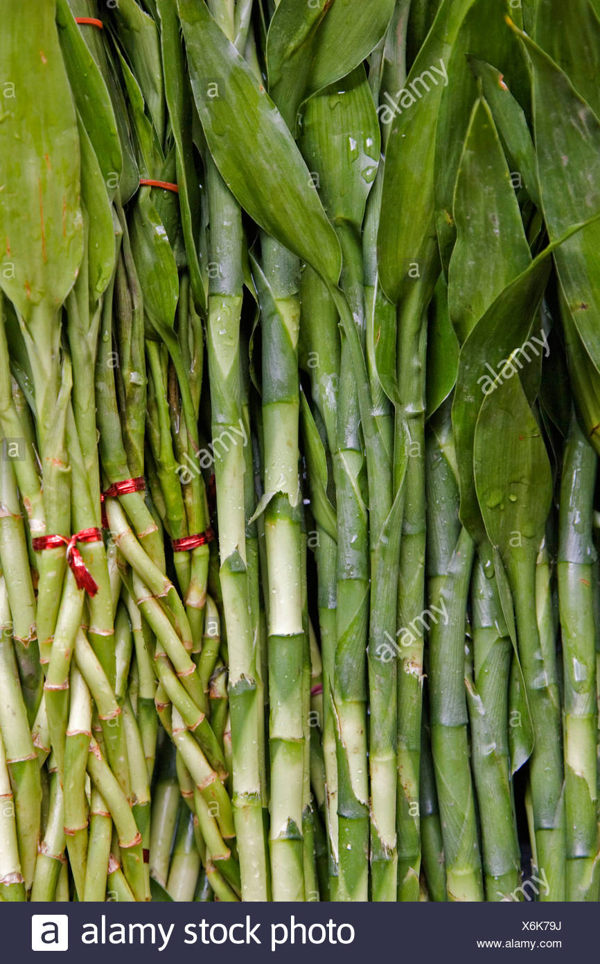 Piles Of Bamboo High Resolution Stock Photography and Images Alamy