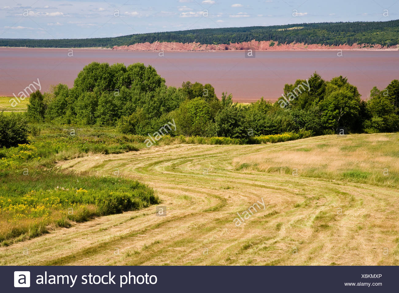New Brunswick Agriculture Stock Photos & New Brunswick Agriculture