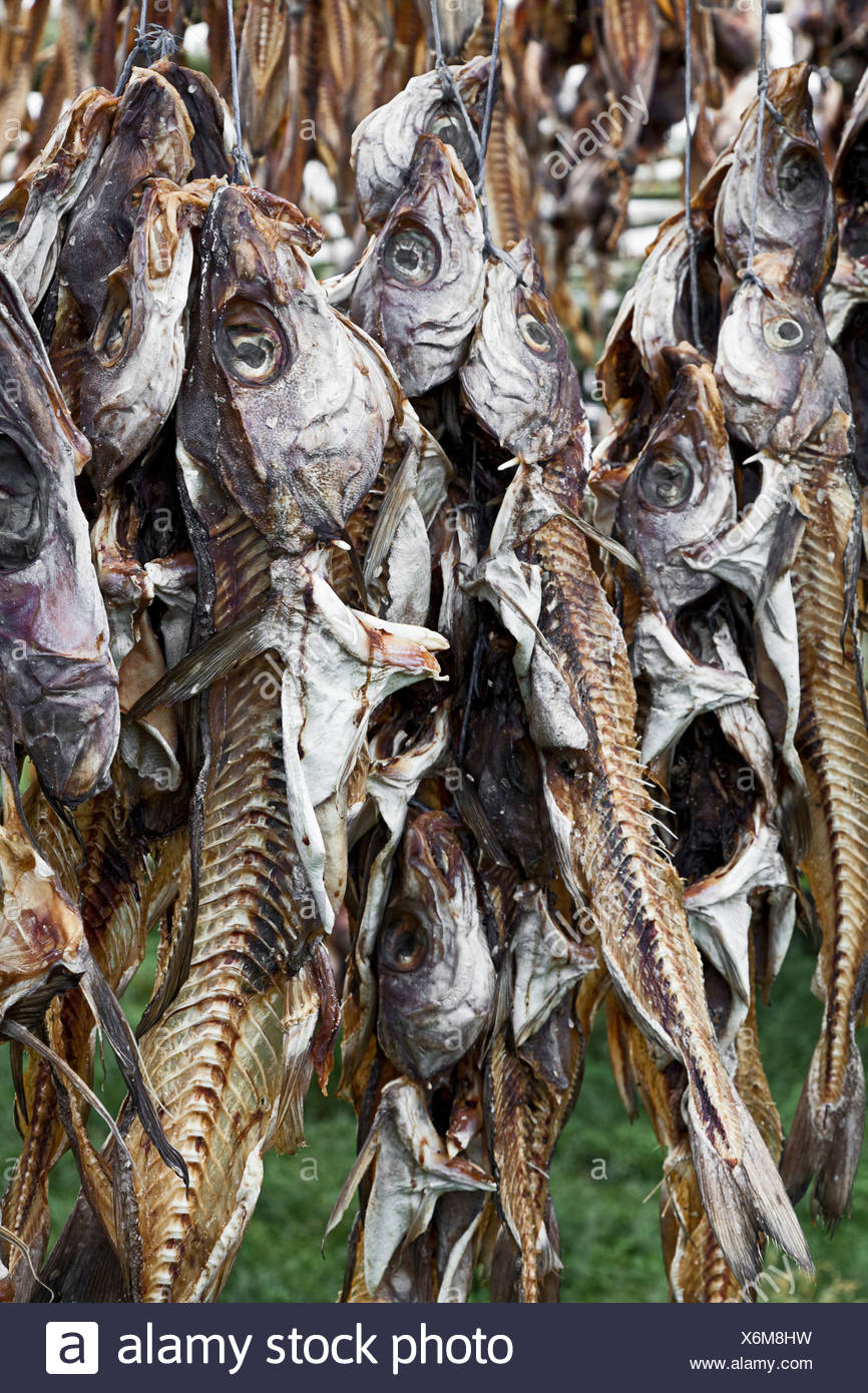 Dried Fish Iceland Stock Photos & Dried Fish Iceland Stock Images Alamy
