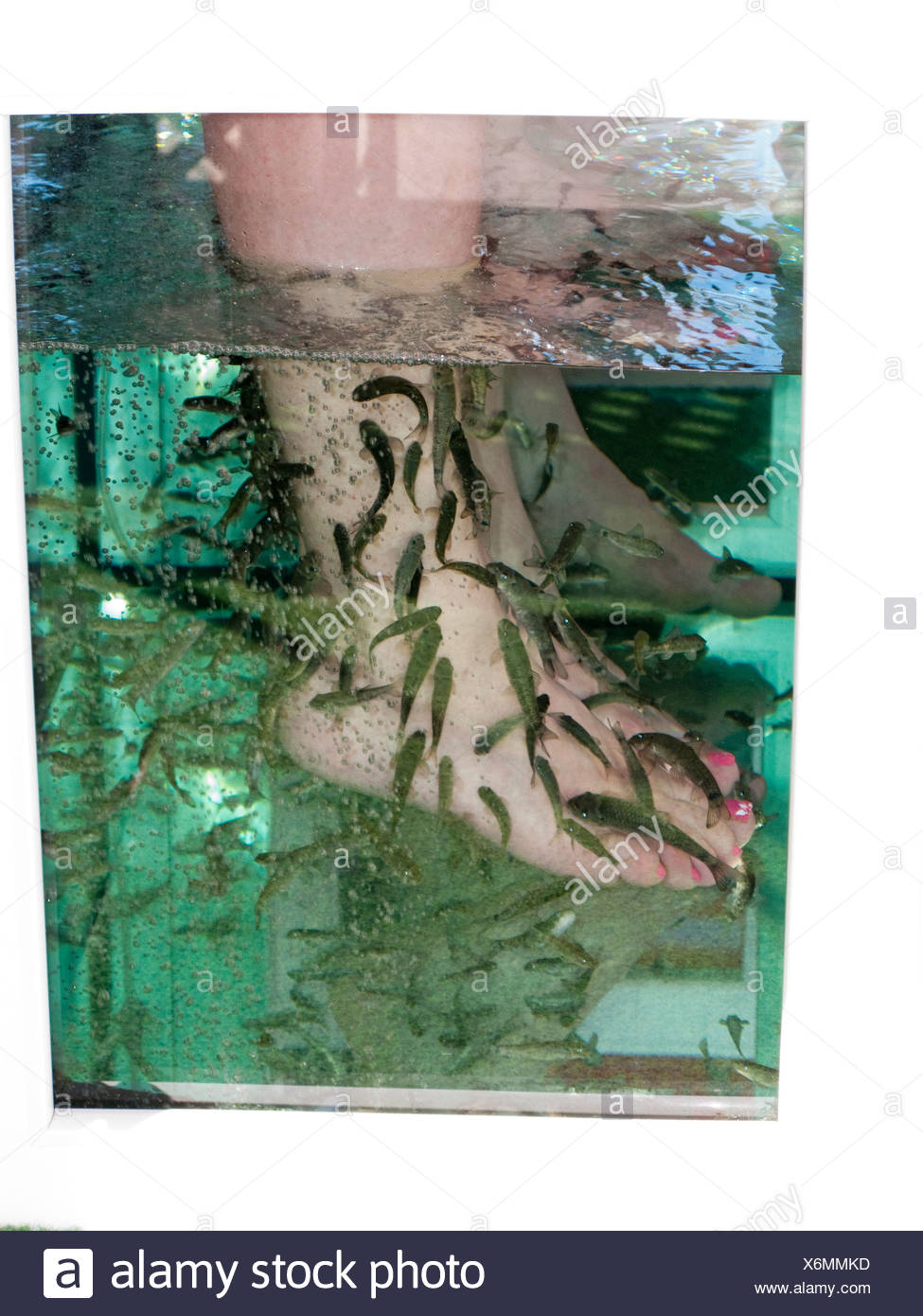 Feet Cleaning High Resolution Stock Photography and Images Alamy